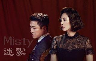 韩剧迷雾 在线观看,揭开真相的迷雾重重