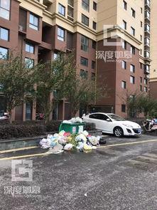 绿洲小区爆料事件最新,揭秘背后真相与争议焦点  第3张